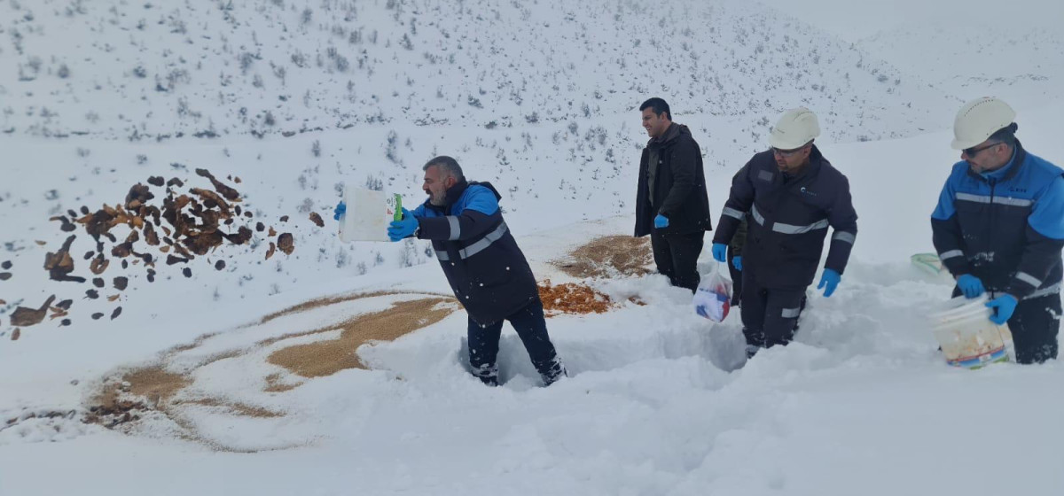 ŞİRVANDA YER ALTINDA ÇALIŞAN MADEN İŞÇİLERİ YER ÜSTÜNDE YİYECEK SIKINTISI ÇEKEN YABAN HAYVANLARI İÇİN  DOĞAYA YEM BIRAKTI