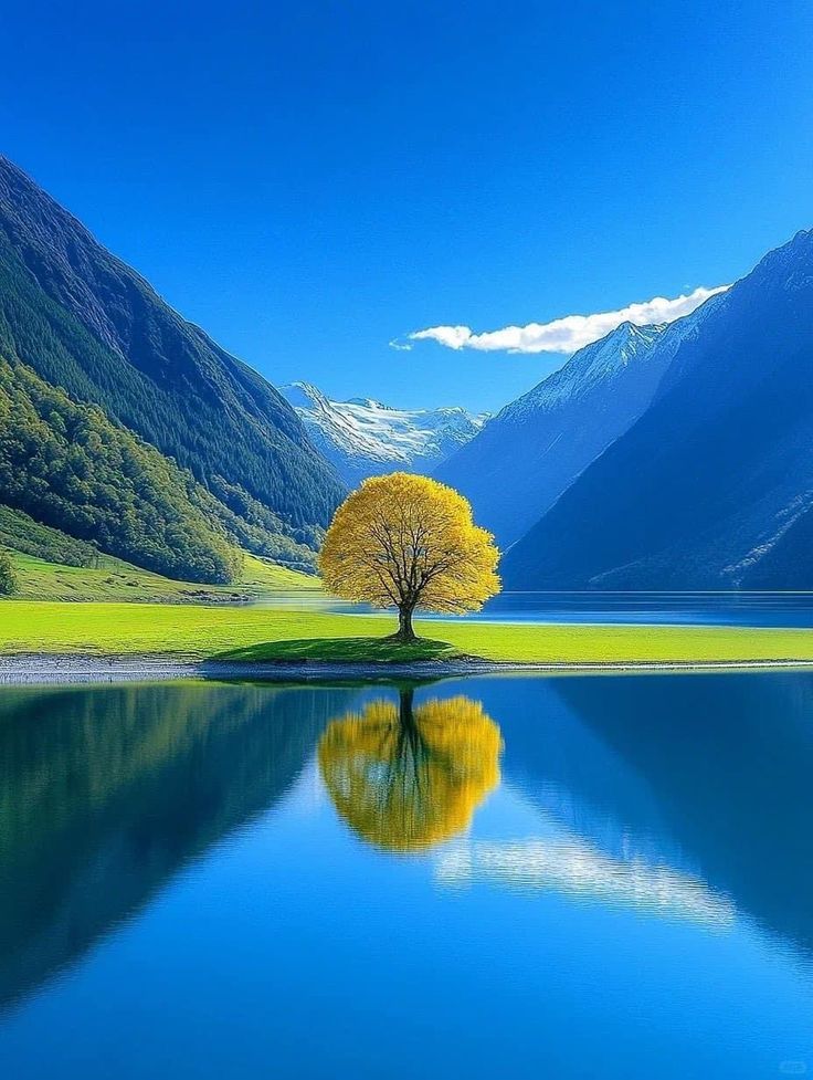 Günün Hasbihal Sohbeti ; Aklını Kullanmayanlar!