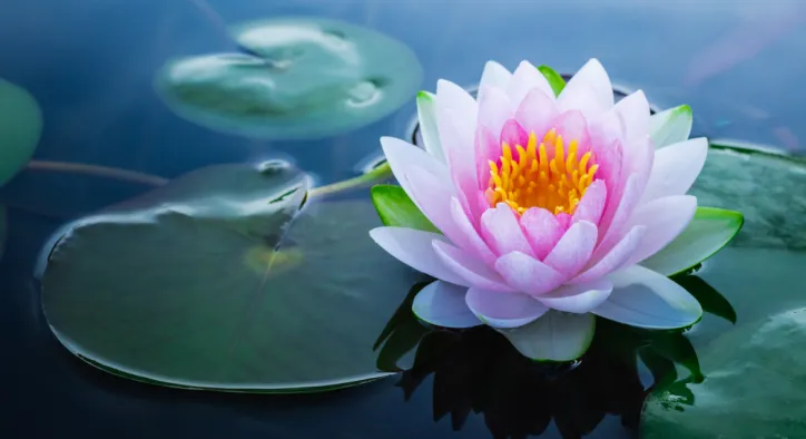 Günün Hasbihal Sohbeti ; Din Kardeşliği