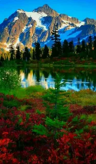 Günün Hasbihal Sohbeti ; Cennete Koşuşun