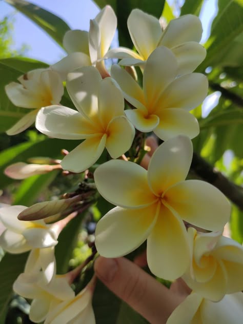 Günün Hasbihal Sohbeti ; Muhabbet Denizinden Sevgi Bardağıyla