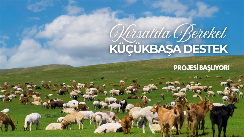 Kırsalda Bereket, Küçükbaşa Destek Projesi Başlıyor