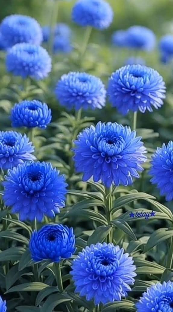 Günün Hasbihal Sohbeti ; Çocuklarımızın Mesuliyeti