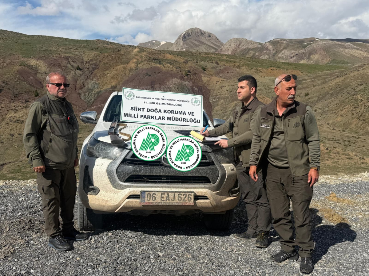 Pervari doğan köyü kırsalında yabani tavşan avlayan kaçak avcıya para cezası