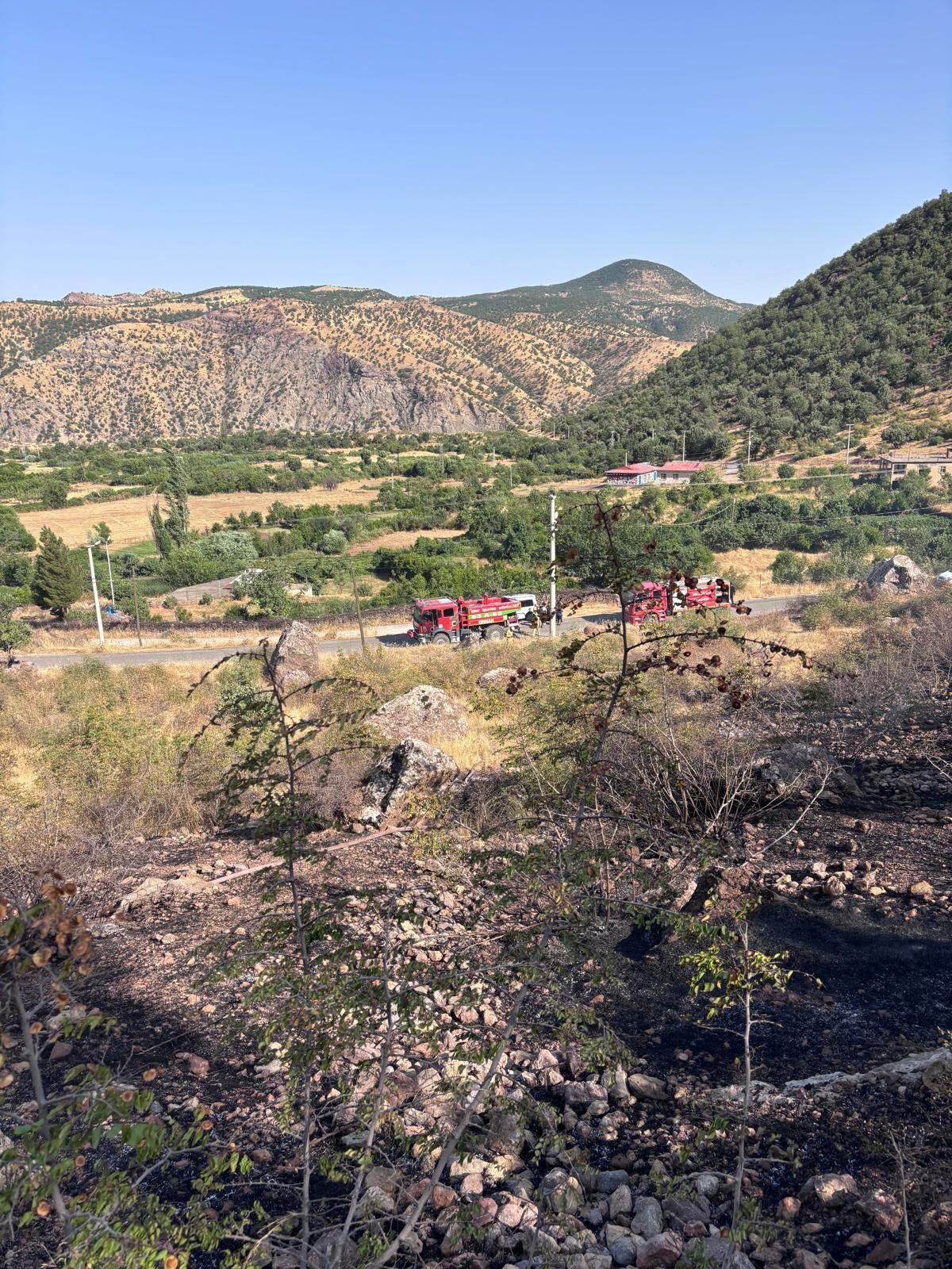 Siirt’te Orman Yangını Büyümeden Kontrol Altına Alındı