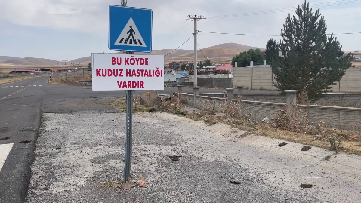 Kars’ta kuduz vakası tespit edildi.
