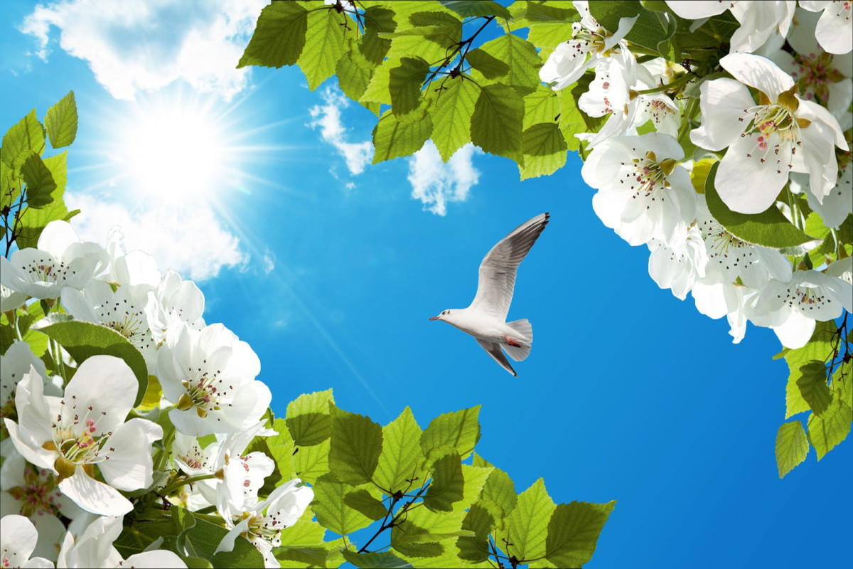 Günün Hasbihal Sohbet ; Ölüm Ötesi İçin Çalışmak