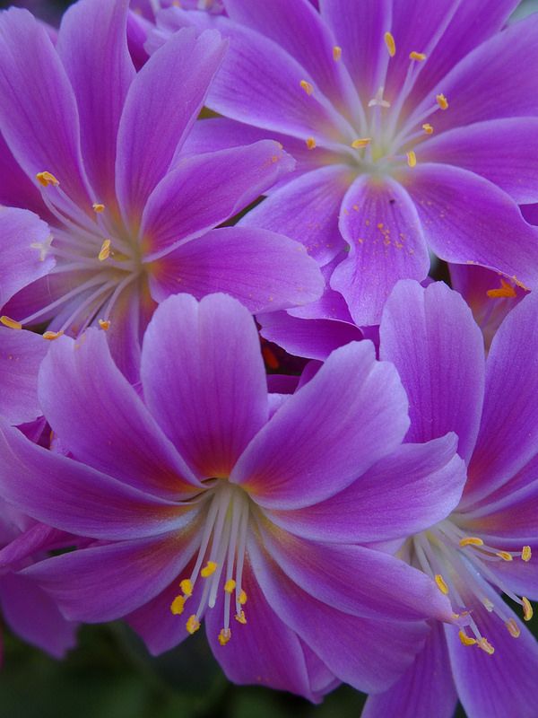 Günün Hasbihal Sohbet ; Sen Çıkınca Aradan