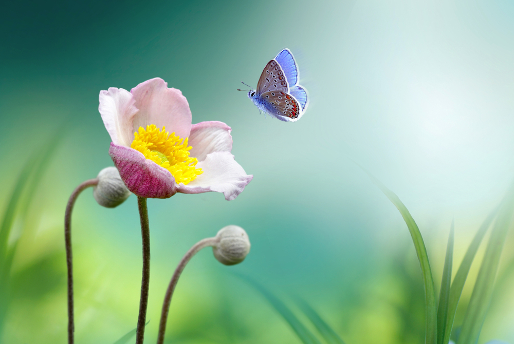 Günün Hasbihal Sohbeti ; Din Kardeşliği