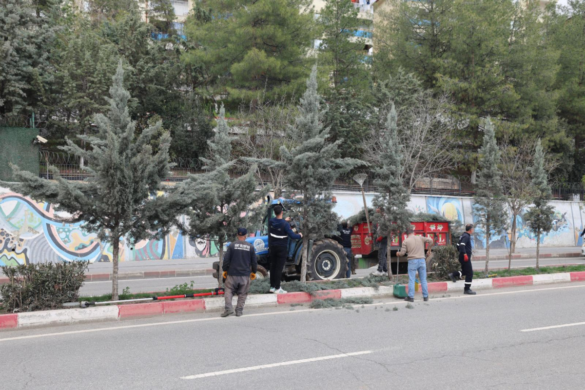 Siirt Belediyesi Park ve Bahçeler Müdürlüğü ekipleri, baharın gelişiyle birlikte kent genelinde yeşil alanlarda bakım ve düzenleme çalışmaları yapıyor 