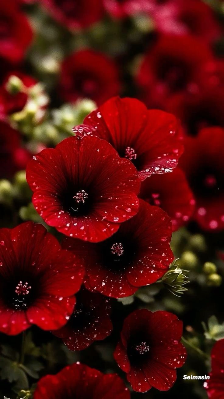 Günün Hasbihal Sohbeti ; Helâl Lokma