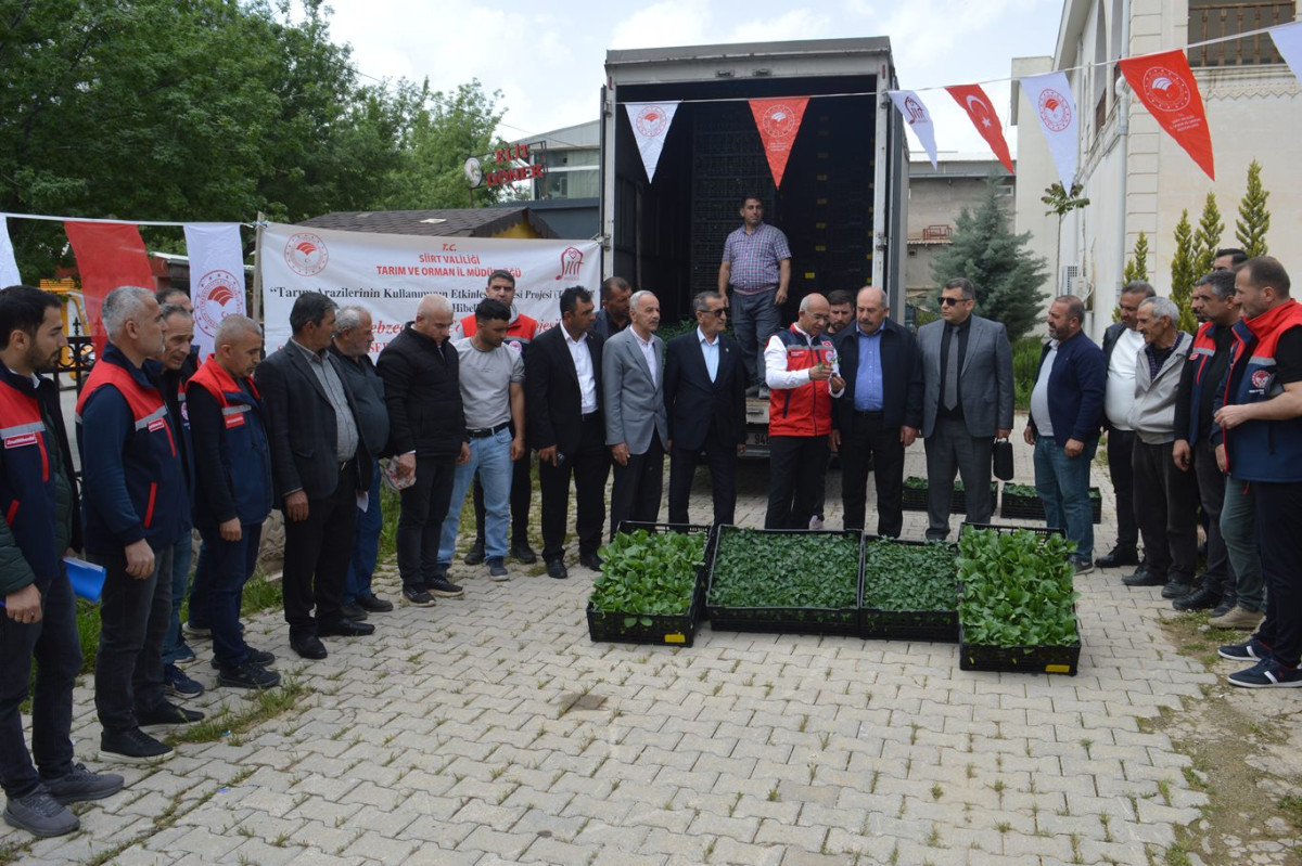 Siirt’te 70 bin sebze fidesi dağıtıldı: TAKEP ile çiftçiye destek