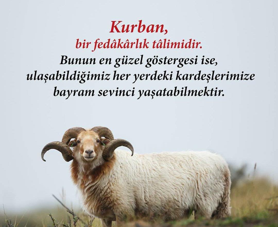 Günün Hasbihal Sohbeti ; Kurban Bayramı
