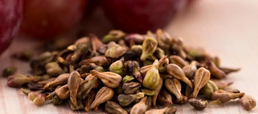 Üzüm çekirdeği faydaları nelerdir? Üzüm çekirdeği ekstraktı içeriğinde neler bulunur?