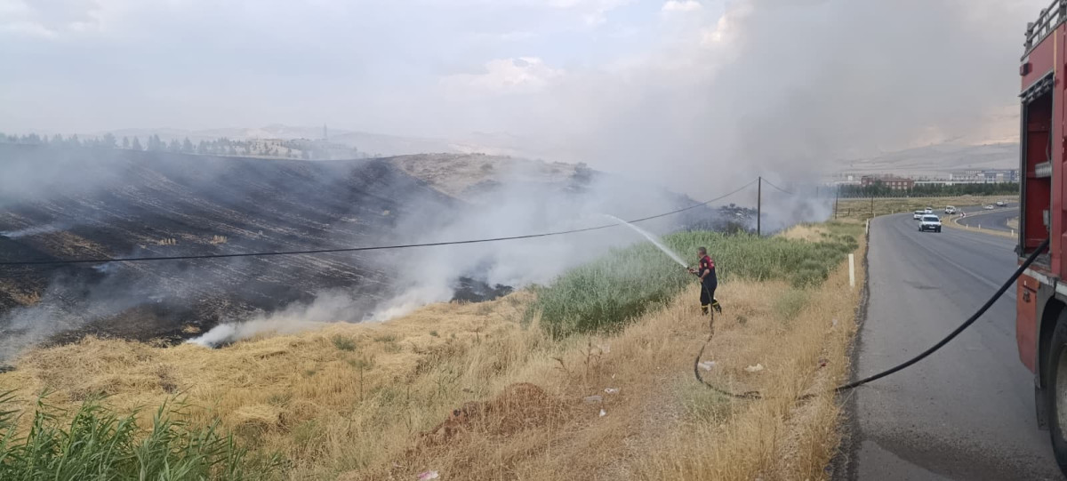 Siirt Üniversitesi Kezer Yerleşkesi Yakınlarında Anız Yangını: 100 Dönümden Fazla Alan Zarar Gördü